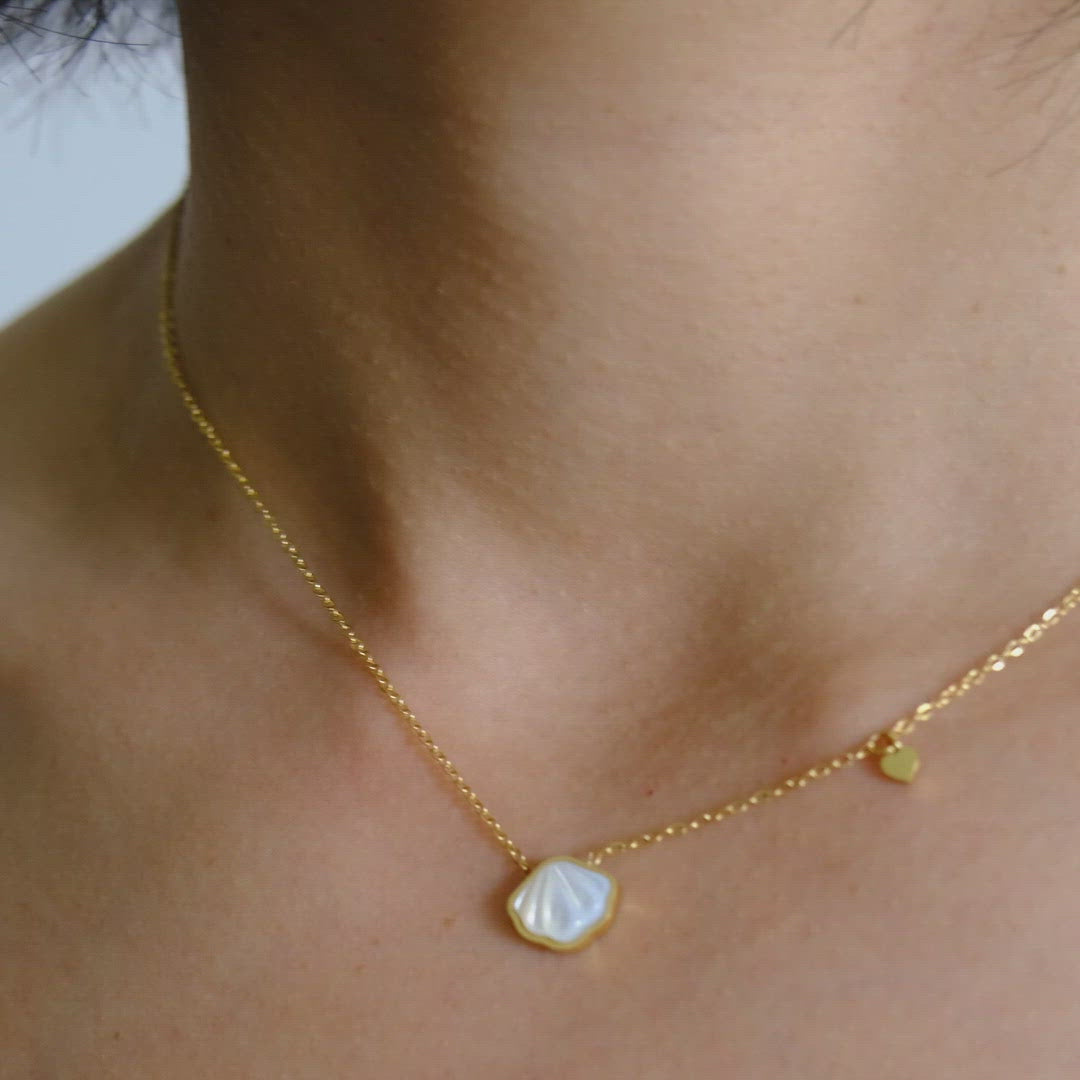 White Shell Necklace